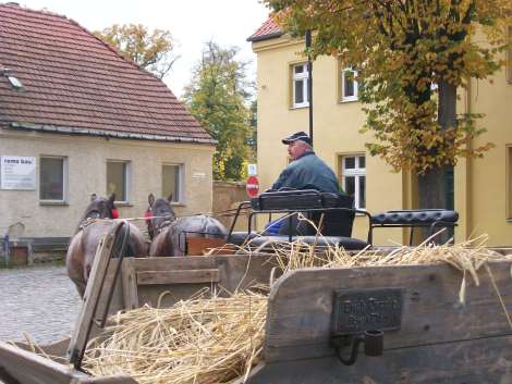 18.10.2008 Schaustelle Marktpltze 09