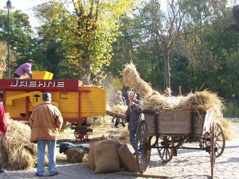 18.10.2008 Schaustelle Marktpltze 14