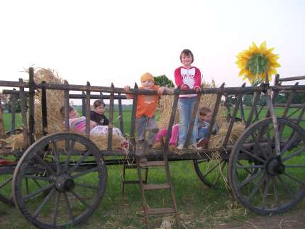 Auf dem Leiterwagen