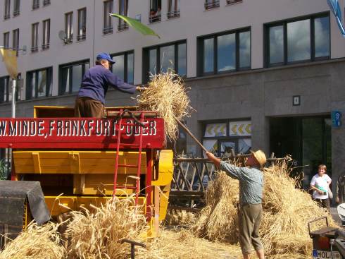 Bauernhof Berlin Helle Mitte 02