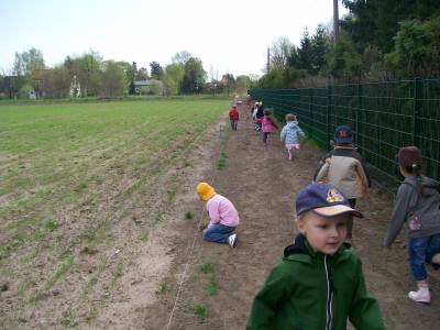 Der Acker am 8. Mai 2008