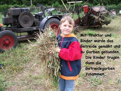 Ernte mit K 18 und Binder