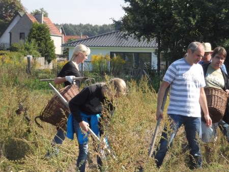 Erntefest 14.09.2013  05