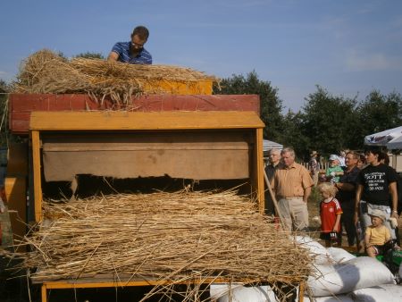 Feldnachmittag 2011  08