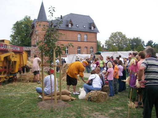 Historischer Dreschkasten von 1933 Bild 06